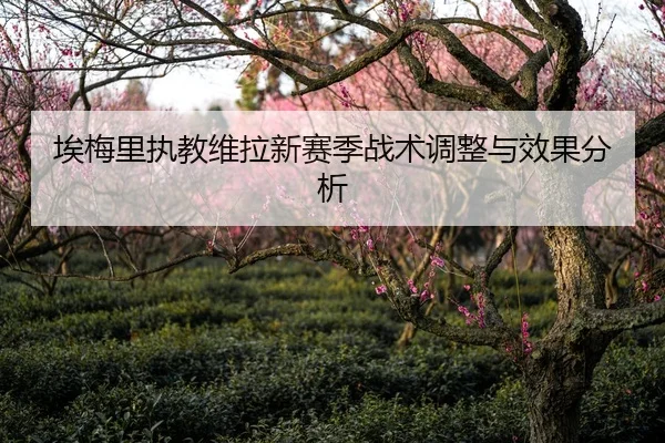 埃梅里执教维拉新赛季战术调整与效果分析
